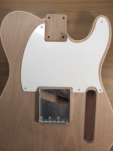 Hosco Tele body mock-up with Fender parts